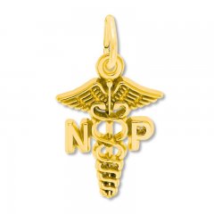 Nurse Practitioner Charm 14K Yellow Gold