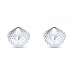 Petite Seashell Earrings Sterling Silver