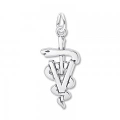 Veterinarian Charm Sterling Silver